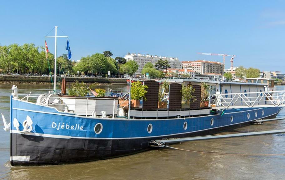 فندق بايونفي  Peniche Djebelle المظهر الخارجي الصورة